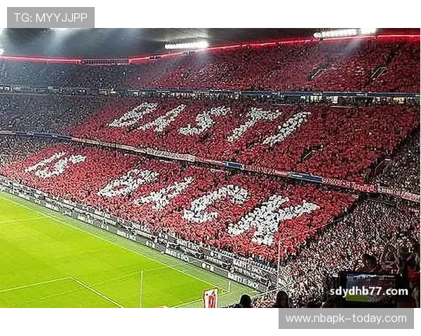 V体育手机官网常见问题解答，解决用户在使用过程中遇到的登录、支付等疑难问题